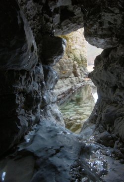 Flamborough 19-10-09_008