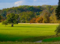 Calke Abbey Park Wallpaper