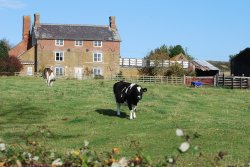 Farm House Wallpaper