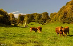 Stourton in Wiltshire