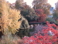 St. James's Park, London Wallpaper