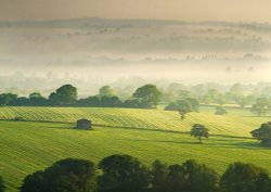 Misty Summer Morning Wallpaper