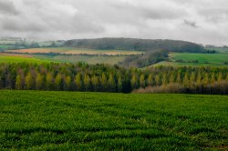 Gentle hills of the Cotswolds Wallpaper