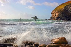 Lulworth Range Walks, Dorset Wallpaper