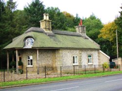 A Lodge Cottage in N. Burlingham Wallpaper