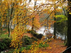 High Force Wallpaper