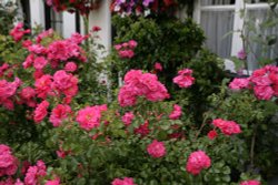 Eynsford village cottage and flowers Wallpaper