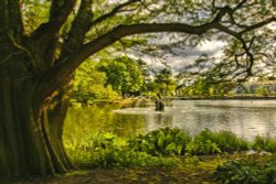 Royal Botanic Gardens, Kew Wallpaper