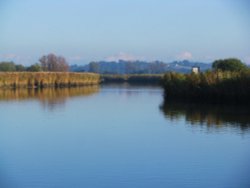 The River Waveney Wallpaper