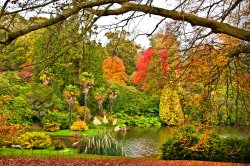 Autumn in Sheffield Park