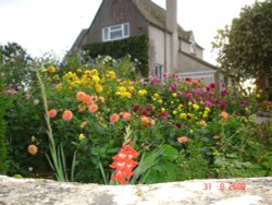 Garden in Nympsfield Wallpaper