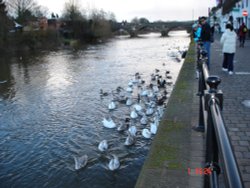 River Severn at Bewdley Wallpaper