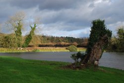 Baconsthorpe Castle Meare Wallpaper