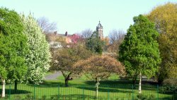 St Giles Church from the Valley Gardens Spring 2009 Wallpaper