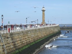 Whitby Harbour with the ever present gulls Wallpaper