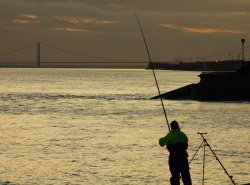 River Humber