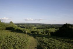 North Downs Way Wallpaper