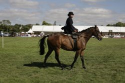 Edenbridge and Oxted Show Wallpaper