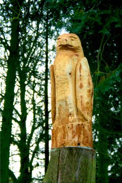 Art work in the woods at Nidd.