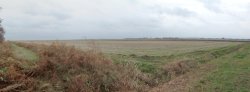 A view of Woodwalton Fen from Holme Fen Wallpaper