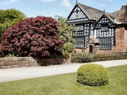 Speke Hall Wallpaper