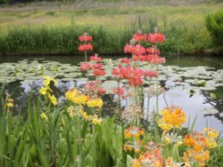 Royal Horticultural Society and gardens Wallpaper