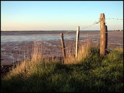 The River Blackwater at Steeple Wallpaper