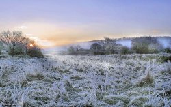 Stour Valley Winter, Shillingstone.