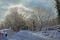 Stour Valley Winter, Shillingstone.