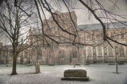 Winchester Cathedral Wallpaper