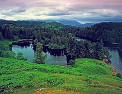 Tarn Hows, Lake District.