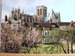 York Minster Wallpaper