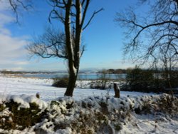 Snow Longridge Wallpaper