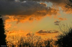 Stour Valley Winter, Shillingstone. Wallpaper