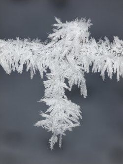 Hoar frost