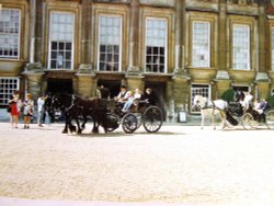 Horse and carriage