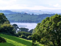 View over the River Dart Wallpaper