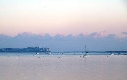 View of Exmouth Quay from Powderham Wallpaper