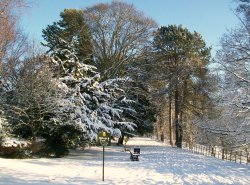 Bishops Park,Bishop Auckland,Durham 6th jan 2010 Wallpaper