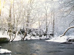 Bishops Park, Bishop Auckland, Durham 6th Jan 2010 Wallpaper