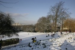 Sledging in the snow Wallpaper