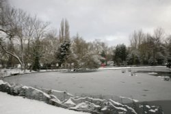 Frozen pond Wallpaper