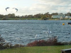 Tattershall Country Park (Waterski lake) Wallpaper