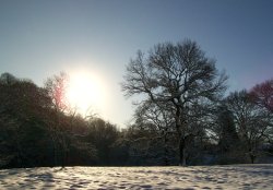 Bishops Park, Bishop Auckland, Durham 7th Jan 2010 Wallpaper