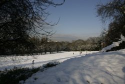 View of London and Park Wallpaper