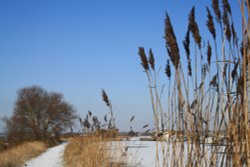 A frozen Exeter Canal Wallpaper