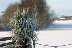 Tattershall Country Park (Waterski lake) Wallpaper