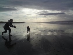 Berrow Beach