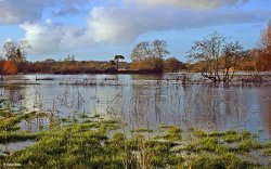 Stour Valley Winter, Shillingstone.