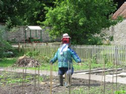 Village Scarecrow